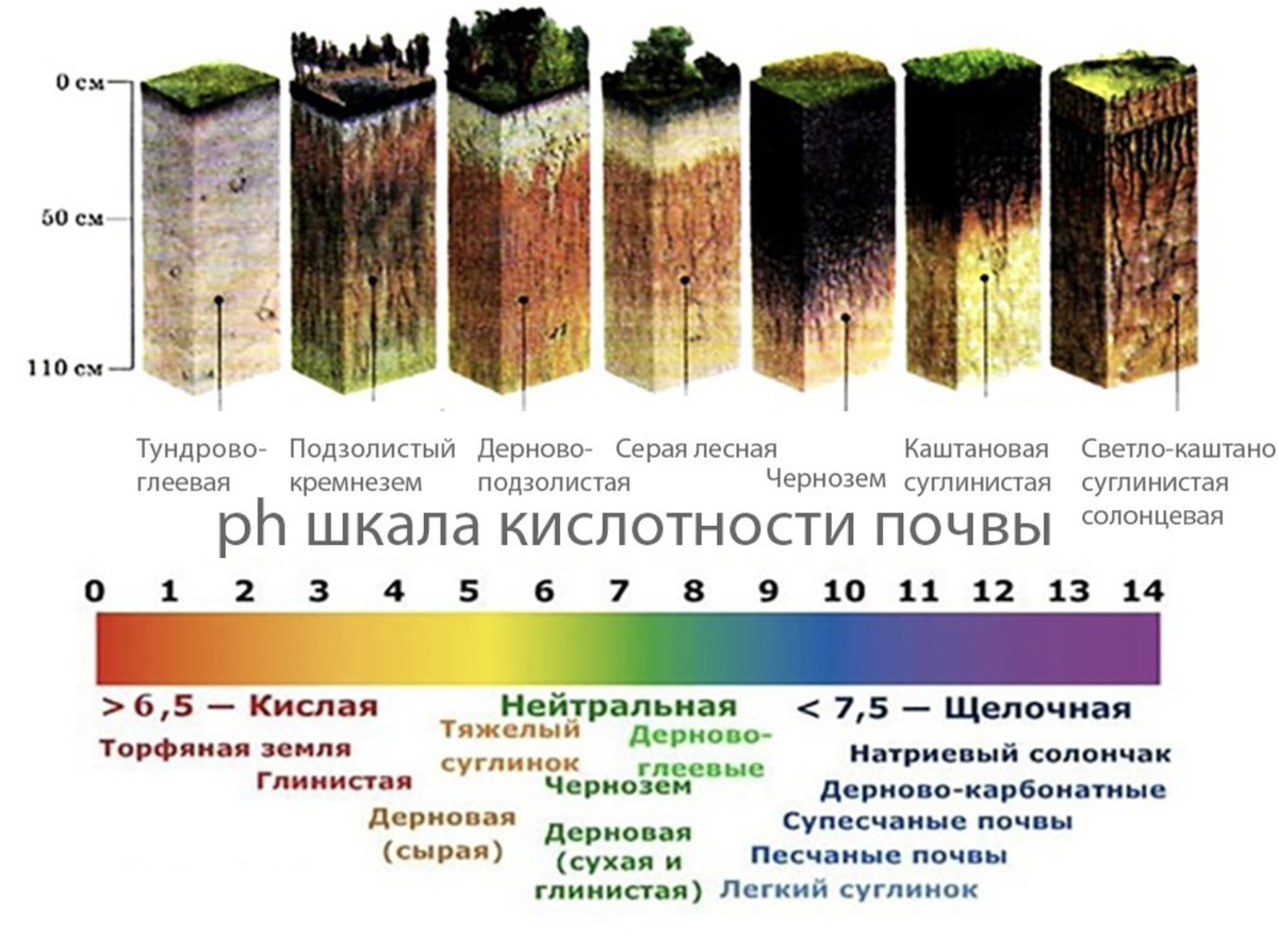 Кислотность почвы России