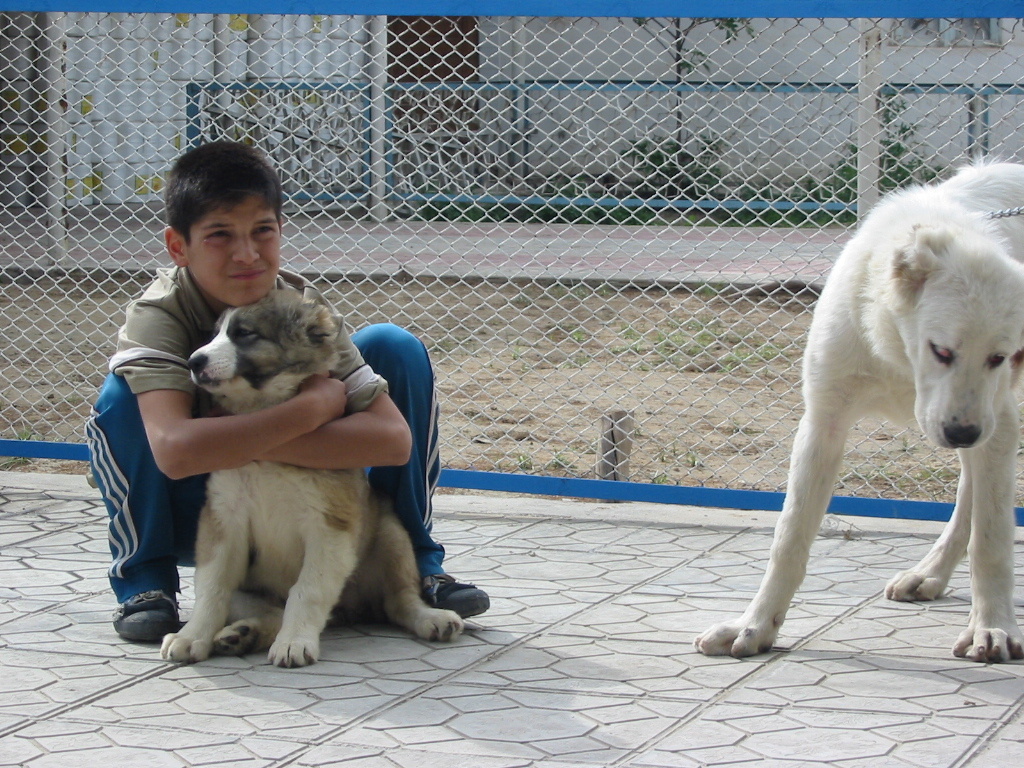 Фото из личного архива Людмилы Рогинской. Поездка в Туркмению по приглашению клуба собаководства Куррикова для знакомства с поголовьем собак Туркмении. 2008 г. 