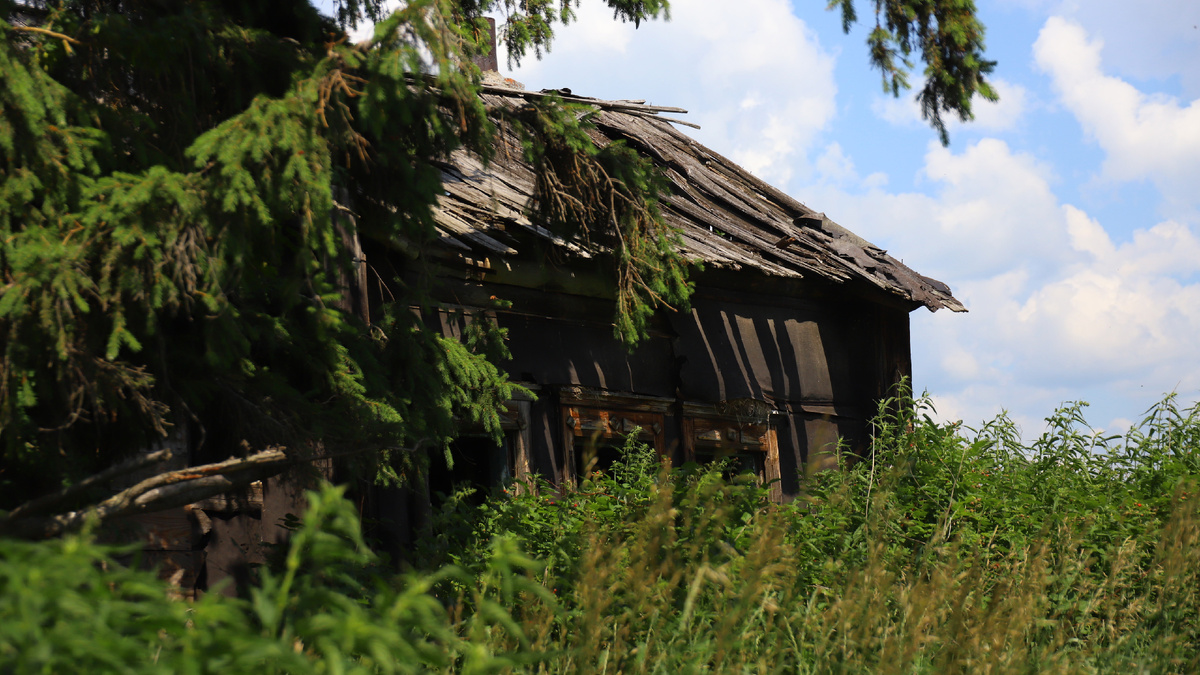 В деревне Свинина много таких древних домишек