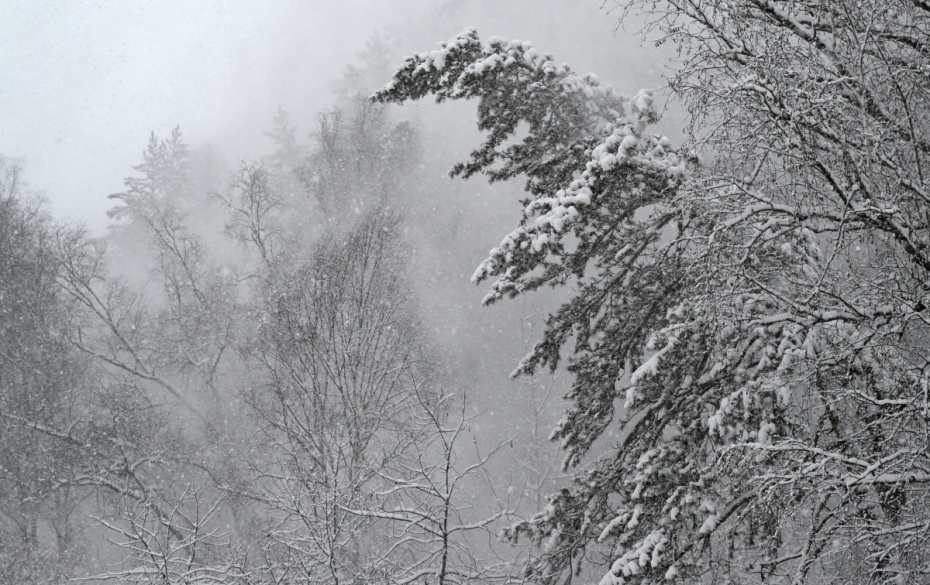    Илья Наймушин/РИА Новости