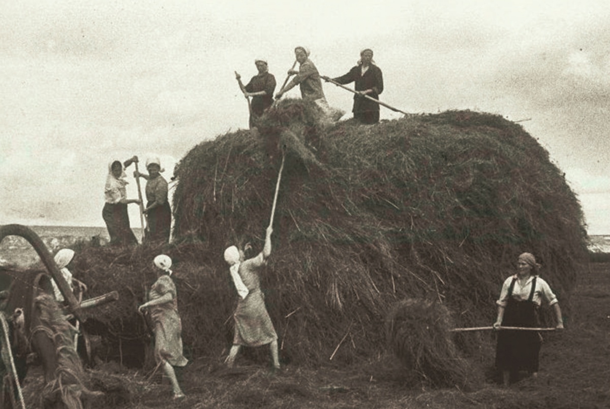 Взято из открытых источников интернета Яндекс.