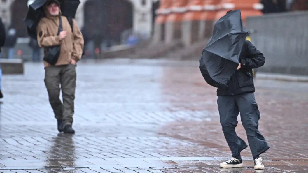    Фото: Олег Рукавицын/ Царьград