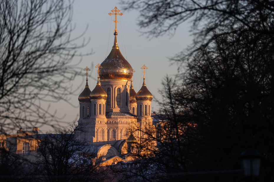    Сергей Булкин/NEWS.ru