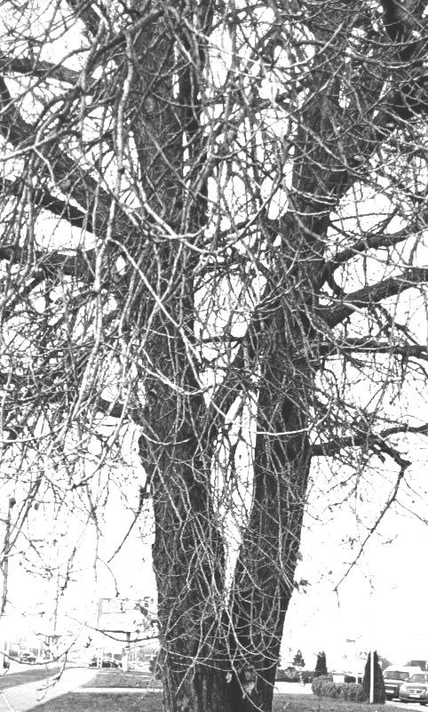 "Кем ты хотела быть в следующей жизни?"— "В этом мире – никем. Все тут по цепочке жрут друг друга. Я тут страшно перепсиховала". (Татьяна Линас)