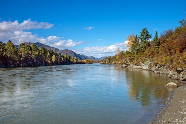 Ты просто смотришь, любуешься красками осени и слушаешь как течёт река времени...   

Осень, Алтай, Катунь, Чемал ...   

  