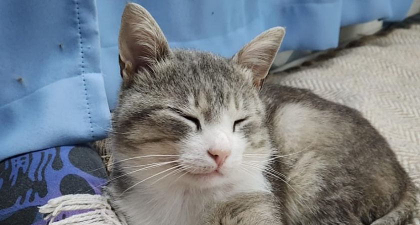    Фото irkutsk.news