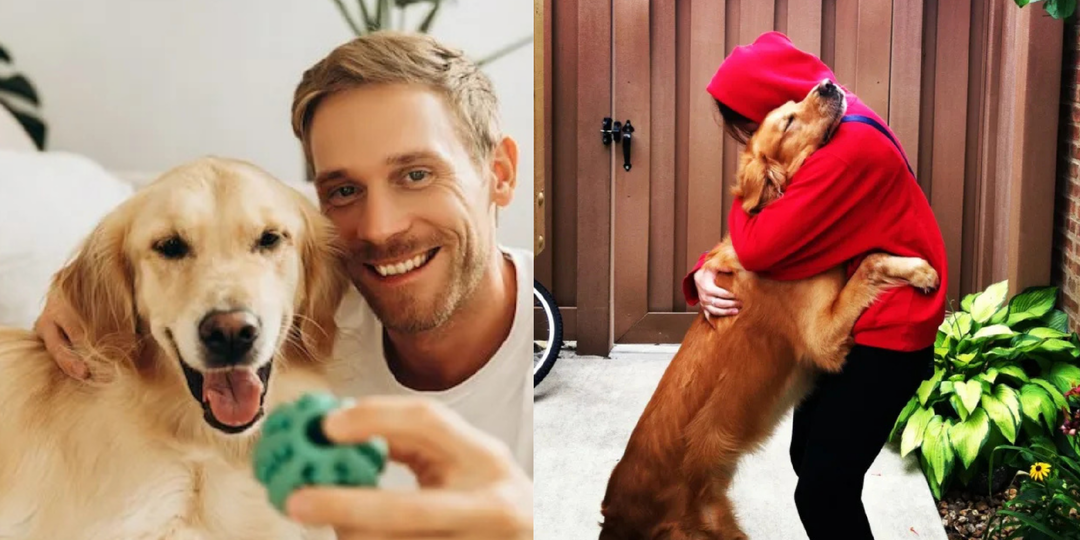 Могут ли собаки говорить "спасибо" и как они это делают