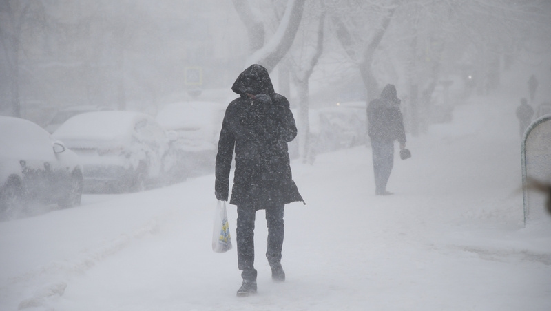      Фото: ИА «Победа26»