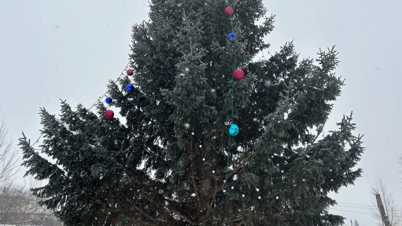     Елка в Барнауле Кристина Тарасова