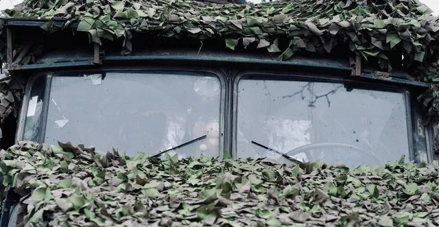 © Фото : Игорь Гомольский