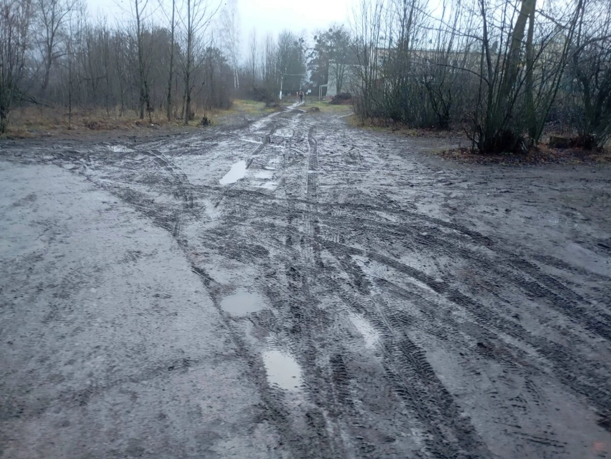    Фото: Эльвира Боровская