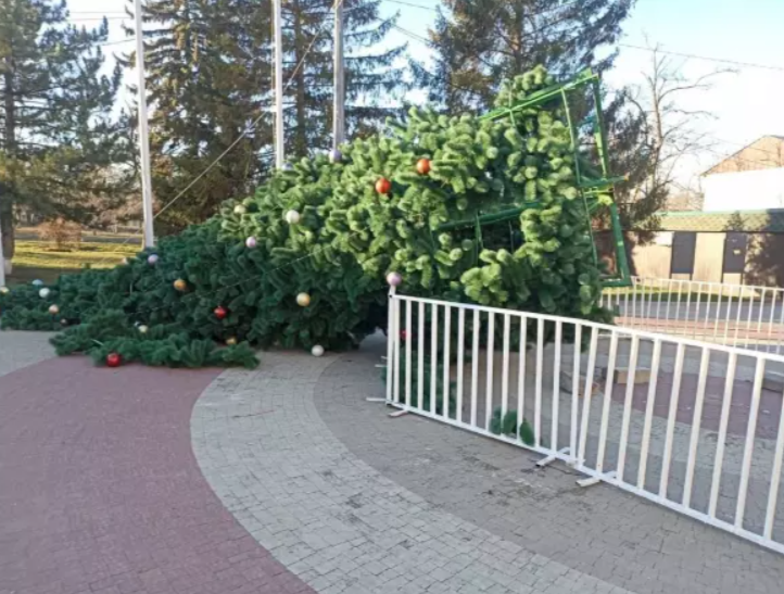    фото: социальные сети Редактор