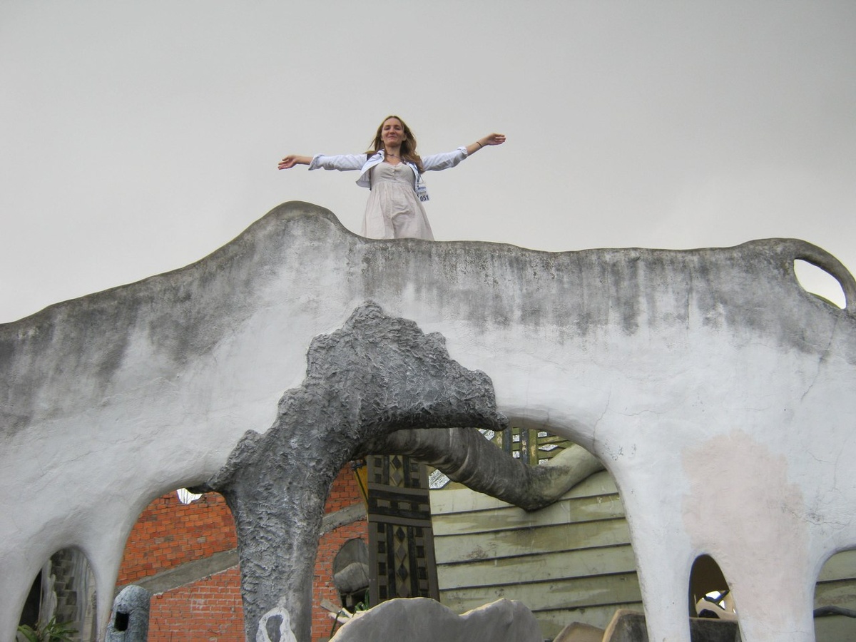 Далат, гостиница Сумасшедший Дом 