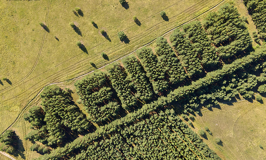 Путешествия по Зауралью. Геоглифы Курганской области