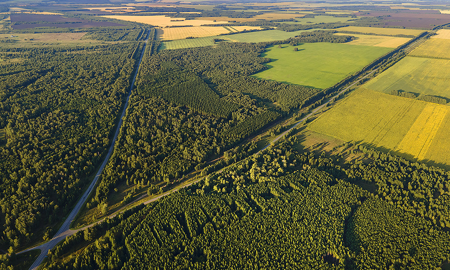 Путешествия по Зауралью. Геоглифы Курганской области