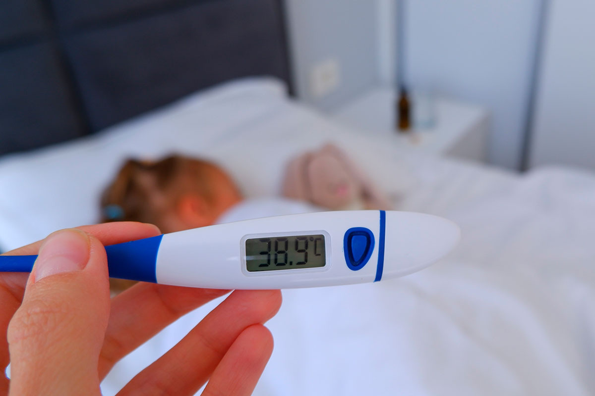    Фото: Tatyana MNE / Shutterstock.com