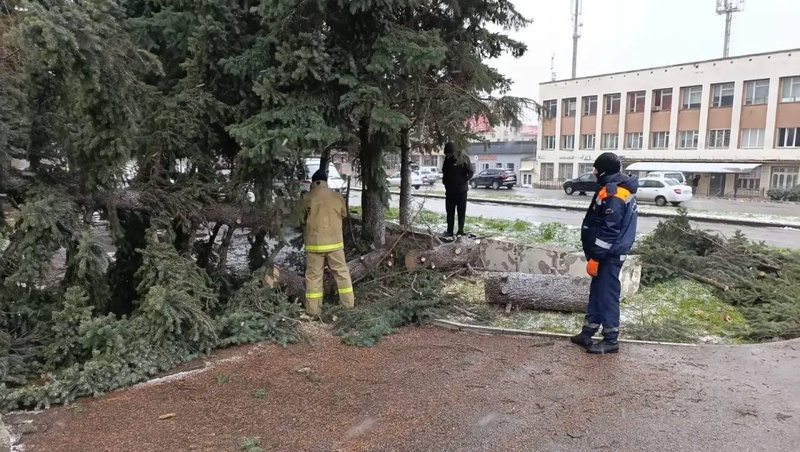      Фото: администрация Лермонтова