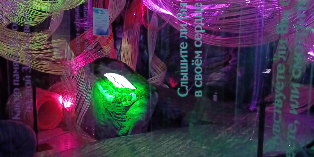 "SENSE: почувствуй стихии" в выставочном центре MARS