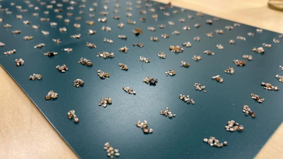     / Источник: © Пресс-служба таможни ФРГ