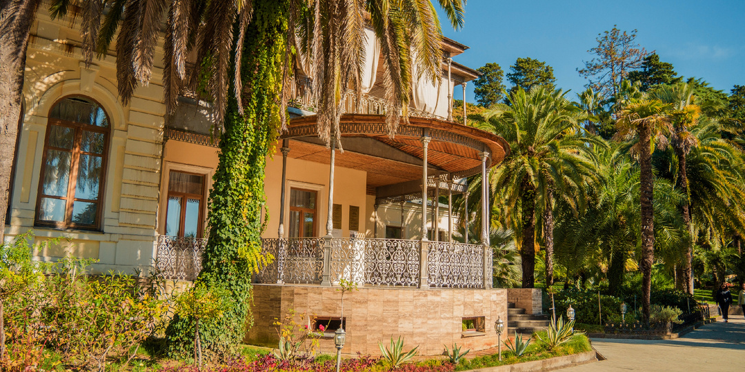 Парк Дендрарий, Сочи. Ноябрь 2025