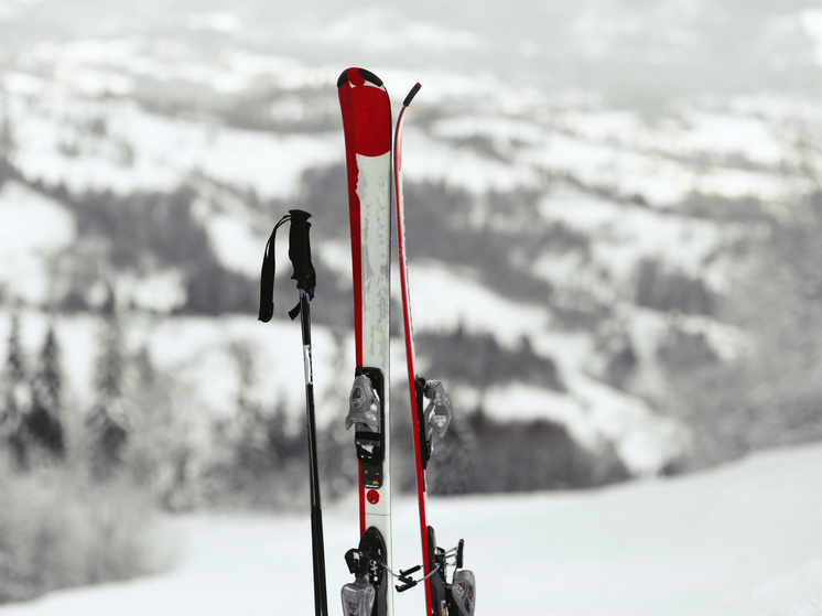     фото: ru.freepik.com