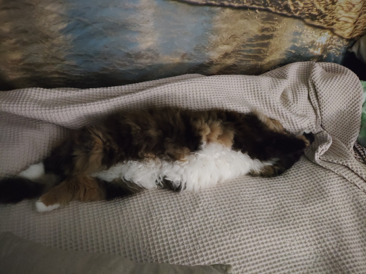 Вчера вечером. Где тут перед, где тут зад?