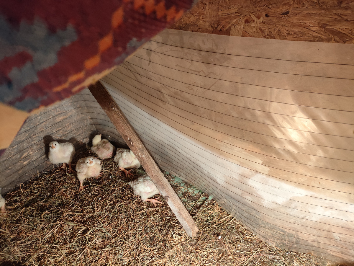 Самый теплый уголок )))