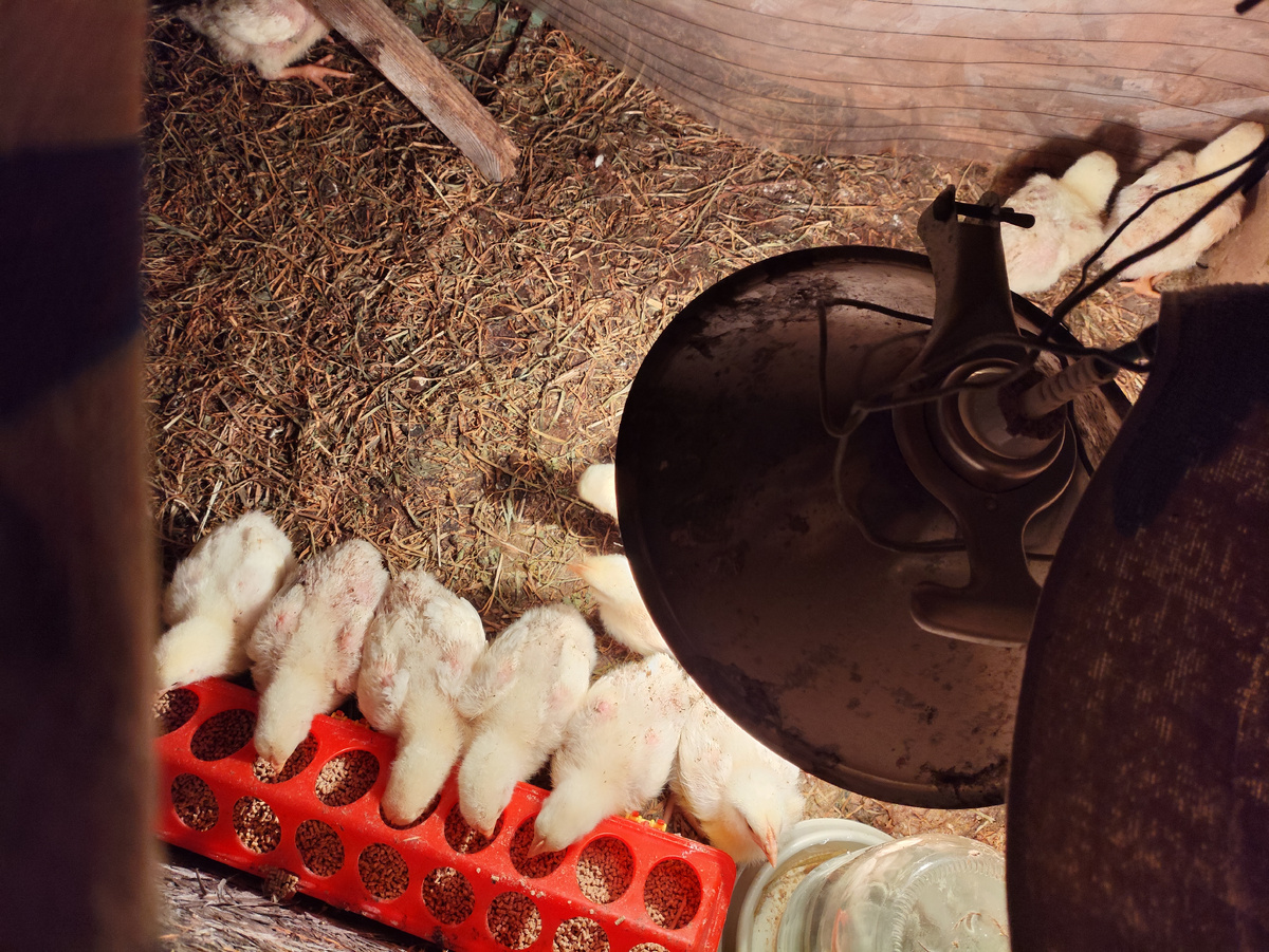 Обед круглосуточный, без расписания )))