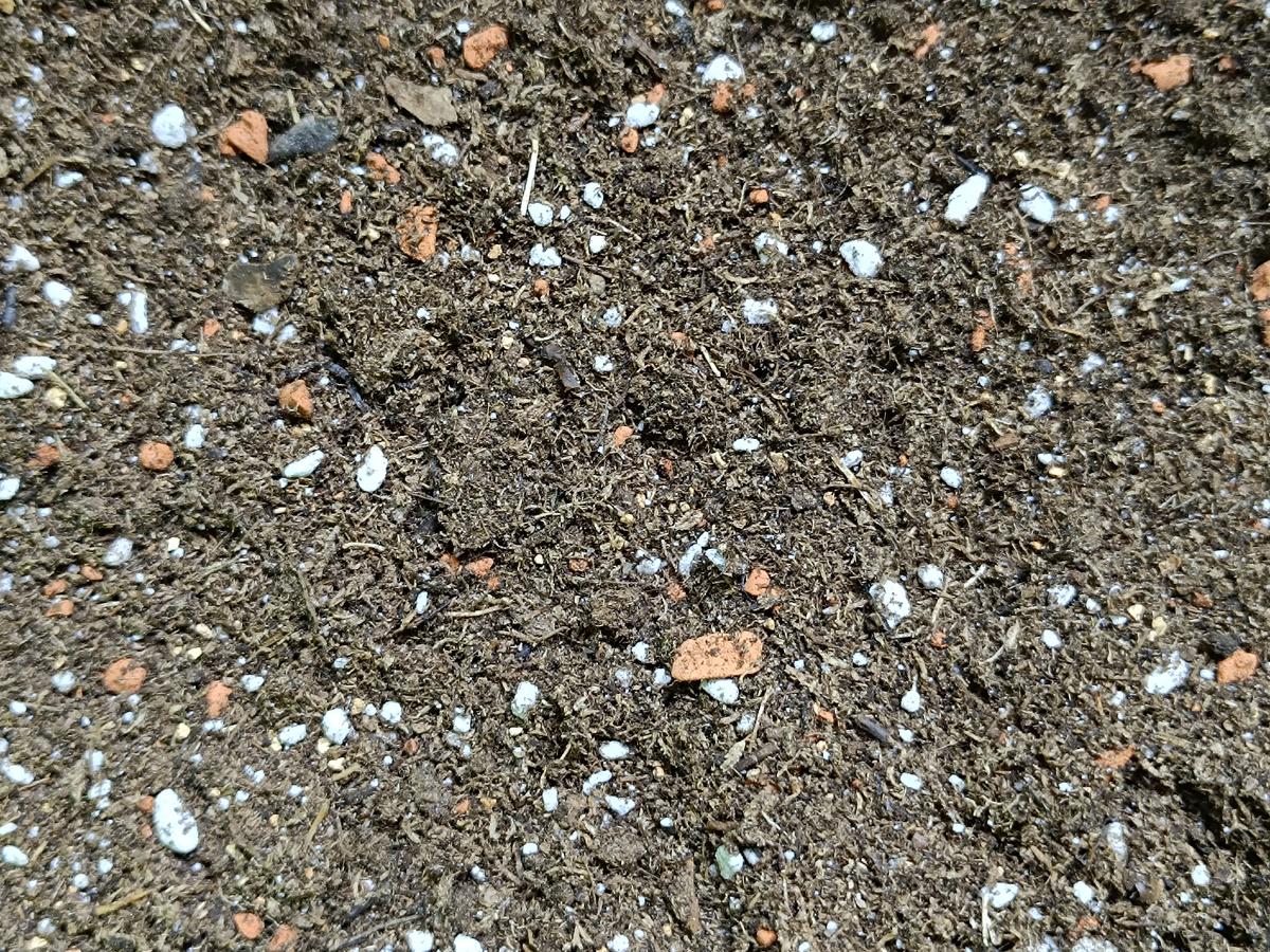 Вот так выглядит Агробалт Синий уже с моими добавками: перлит, Seramis, диатомид. Готов к посадке растений