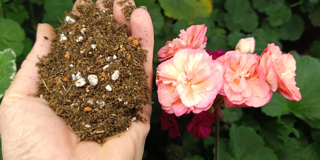 Грунт для пеларгоний