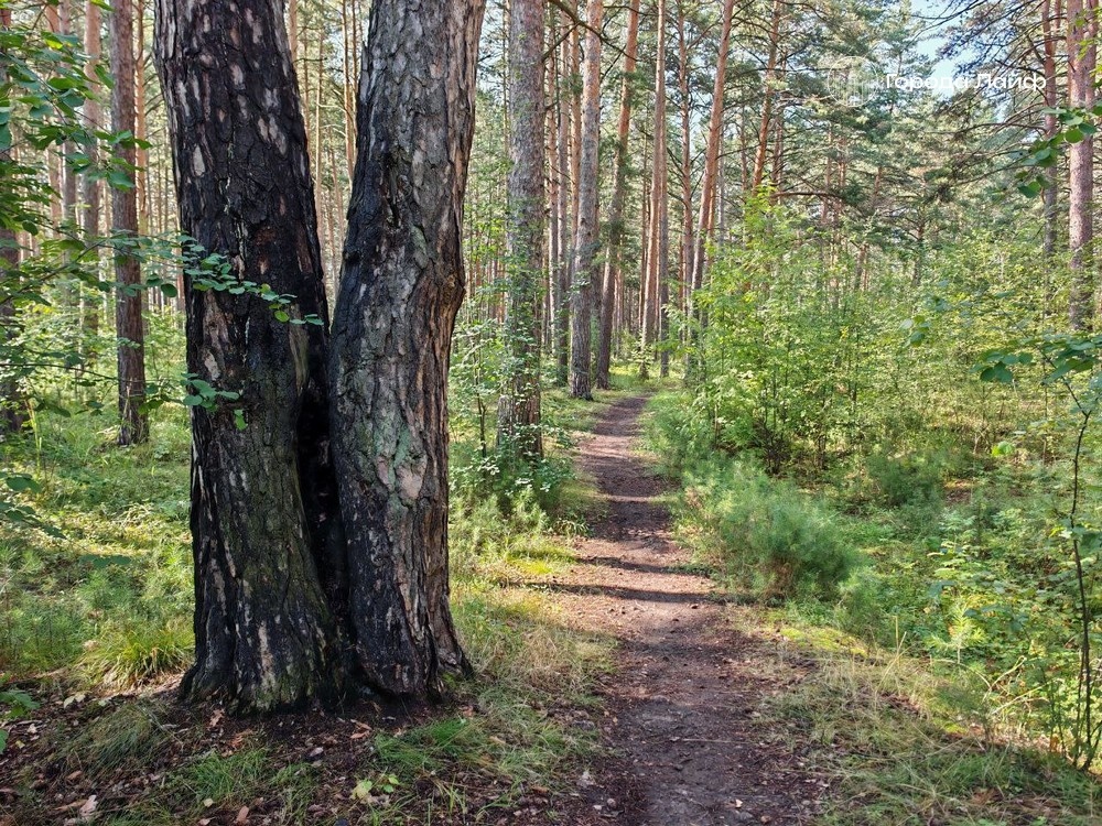     Фото: Города Лайф