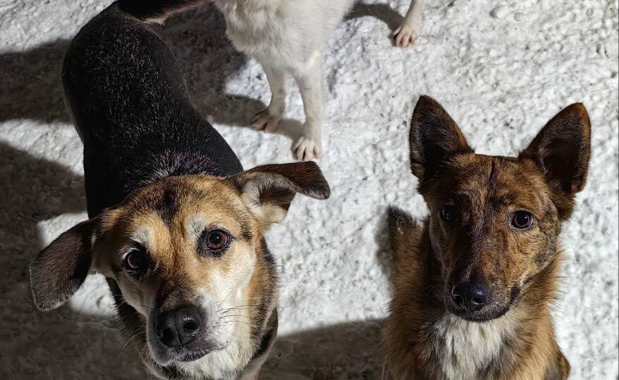 Почему нас не радует новый год