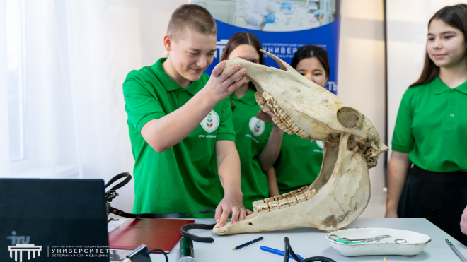 Фото: сайт Управления ветеринарии Ленинградской области