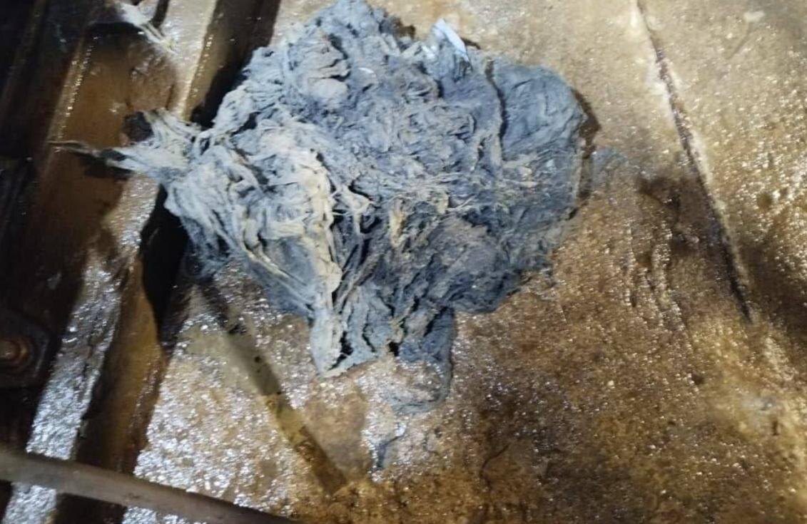 Фото: https://t.me/VDKSPB