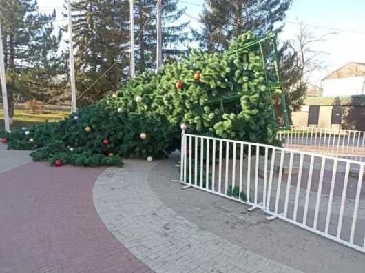    Штормовой ветер повалил новогодние елки в двух городах Ростовской области //Фото очевидца