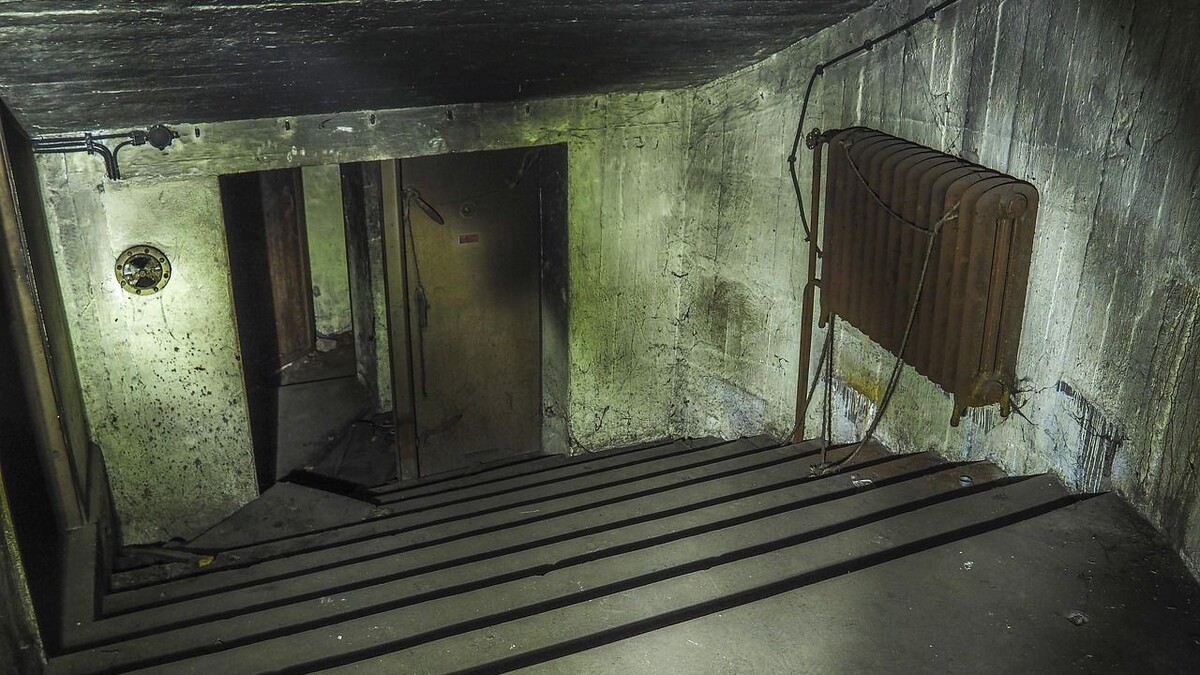     Источник: pixabay