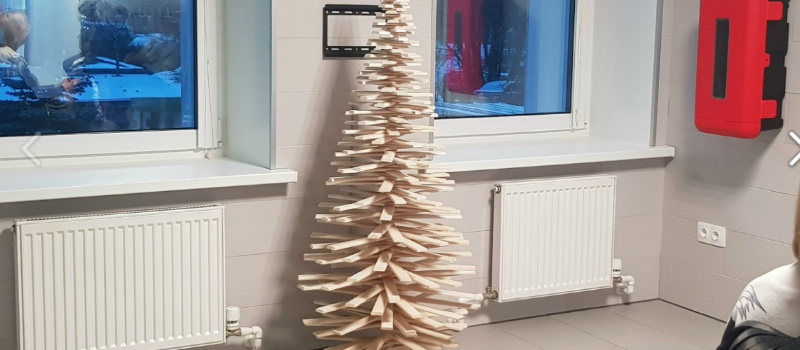    Елки без иголок ставят на Новый год жители Петрозаводскаситатель "Фактора"