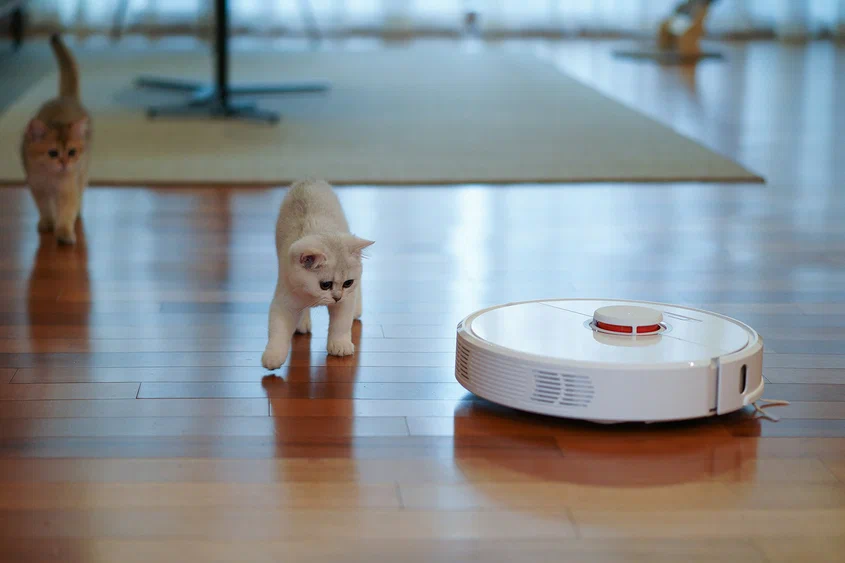 Фото на обложке: YoonJae Baik / Unsplash