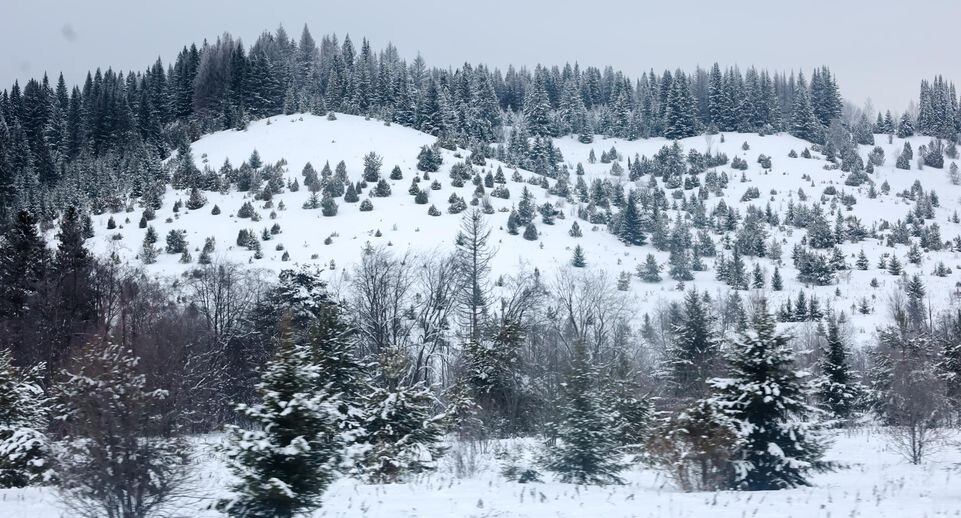    Elena Mayorova/Global Look Press / www.globallookpress.com