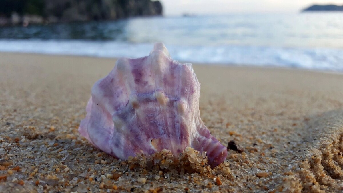     Источник: 1MI