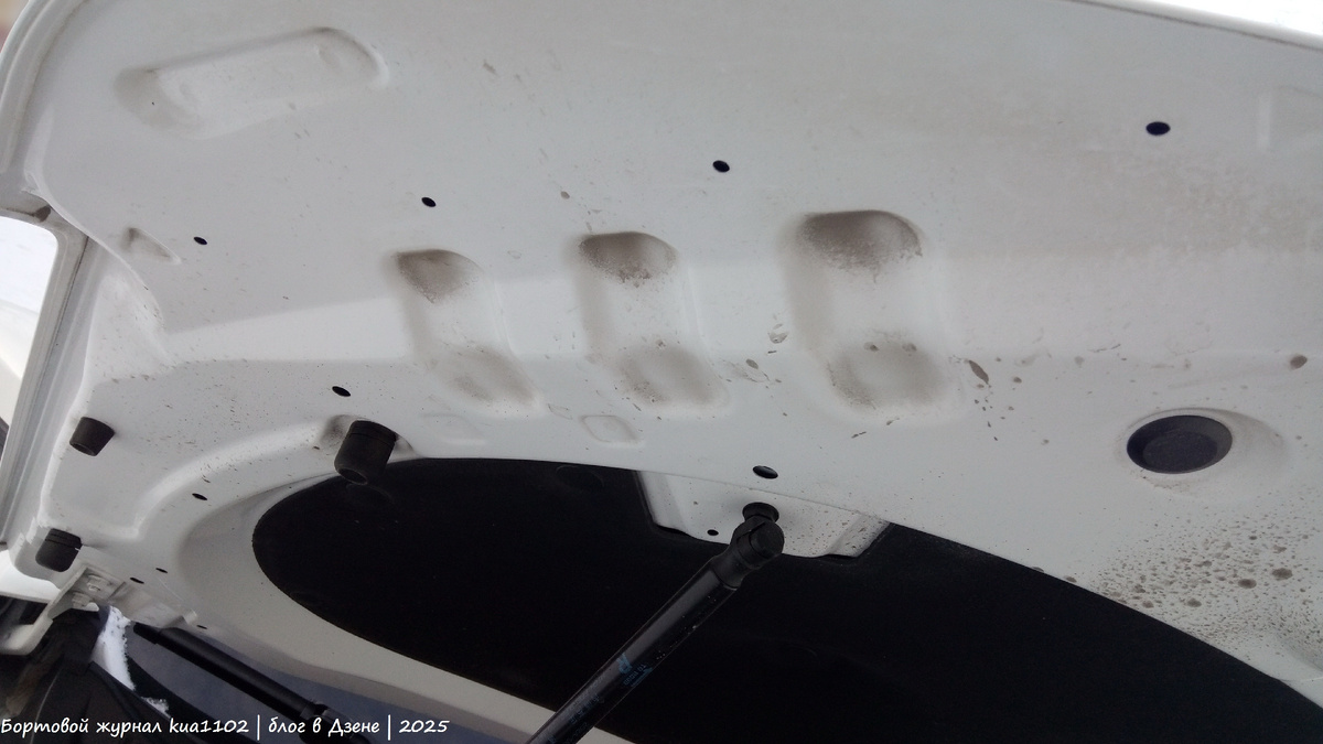 Вид на кромку капота в районе фары. Автор фотографии kua1102