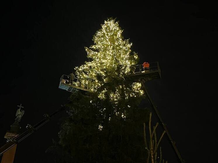     Скорее всего, яркие фонарики будут располагаться по всей ёлке. Фото: МК в Питере/Камилла Латыпова