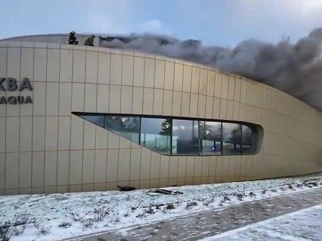    Фото: ТАСС/МЧС России