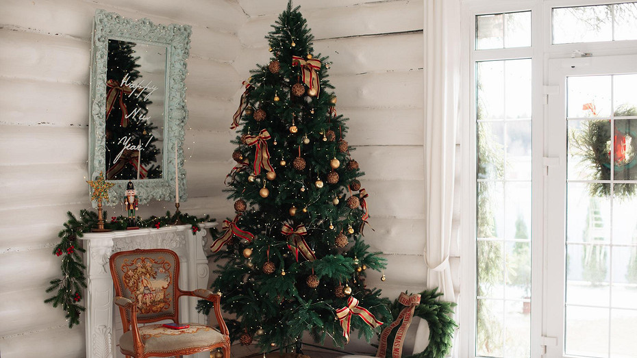     Источник здесь и далее: freepik.com (@user15285612)