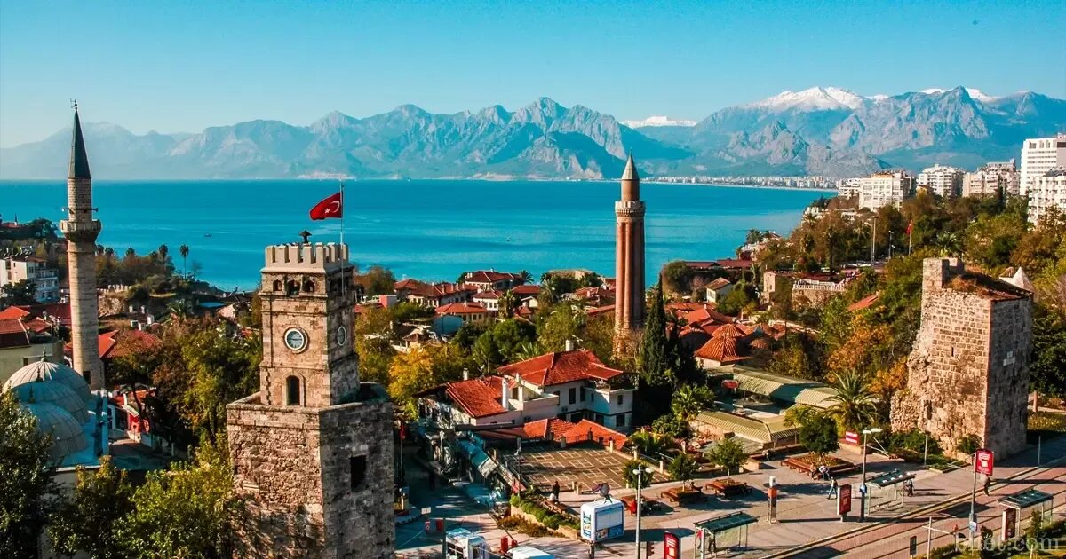 Изображение из Интернета 