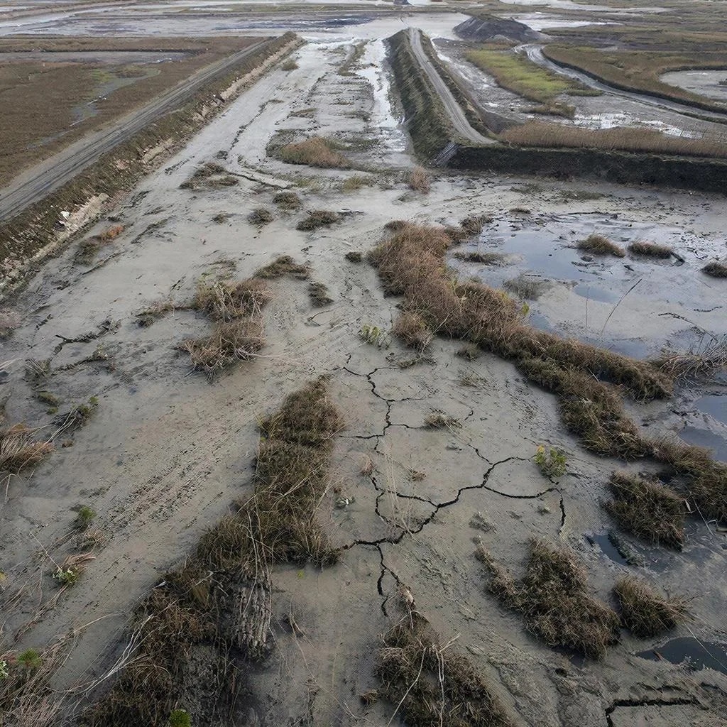 Осушенное болото