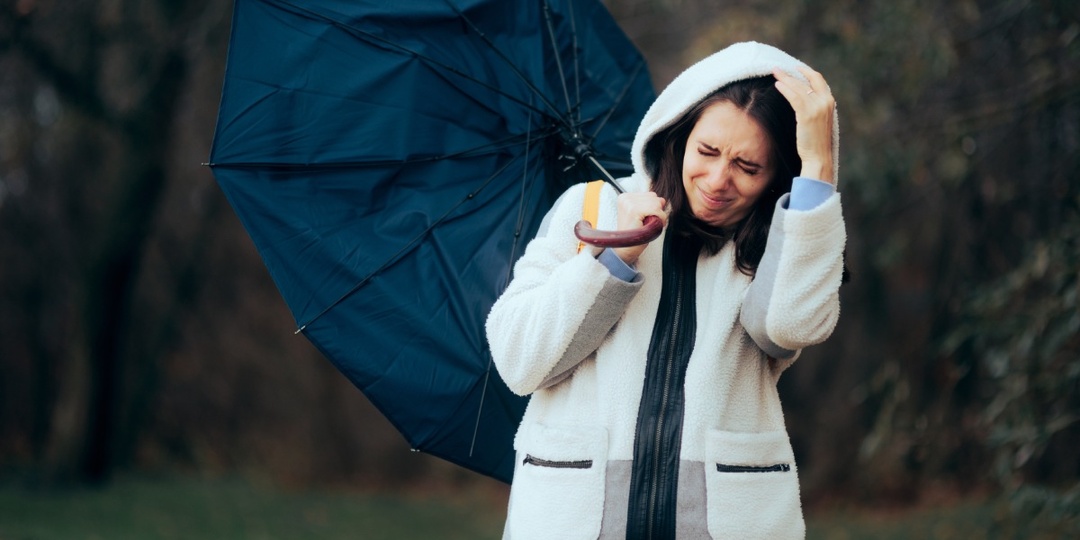 Какая-то еврозима: Рябов рассказал о погоде в середине декабря