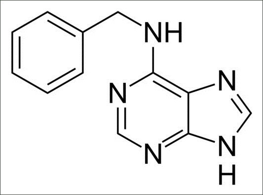 Другие названия: 6-БАП, 6-Бензиладенин, 6-Benzylaminopurine, 6-BA, 6-BAP, Benzyladenine