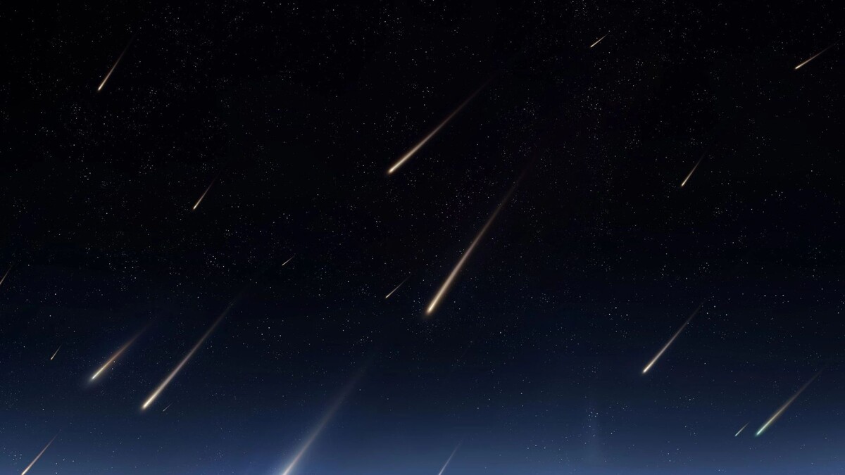    Фото: Nazarii_Neshcherenskyi/Shutterstock/Fotodom