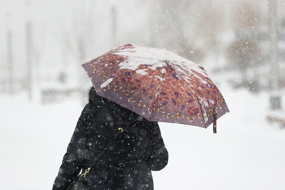    Сергей Булкин/NEWS.ru